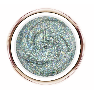 Holografic gel Silver rainbow